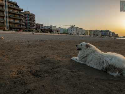 ...un rito quotidiano a cui assistiamo con i nostri occhi, proprio nel momento in cui il sole sta calando su San Girolamo...